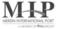 MIP — Dikey Mühendislik referansı
